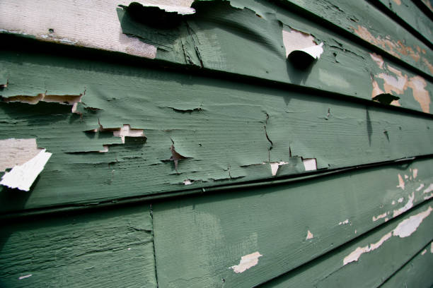 Best Same-Day Junk Removal Services  in Portland, IN