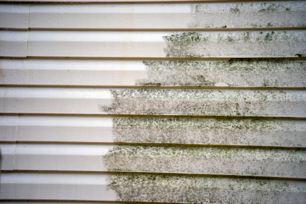 Best Basement Cleanout  in Portland, IN